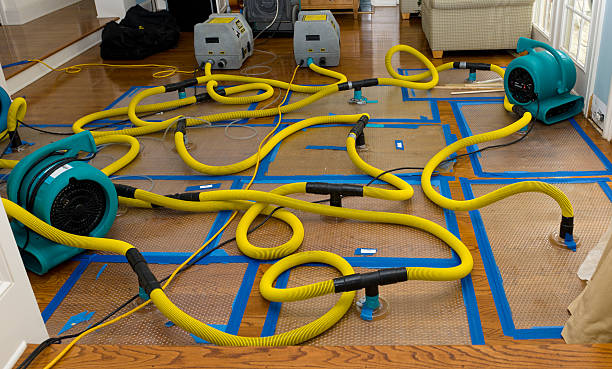 Professional Burst Pipe Water Damage technician working in Emlenton, PA